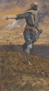 The Sower